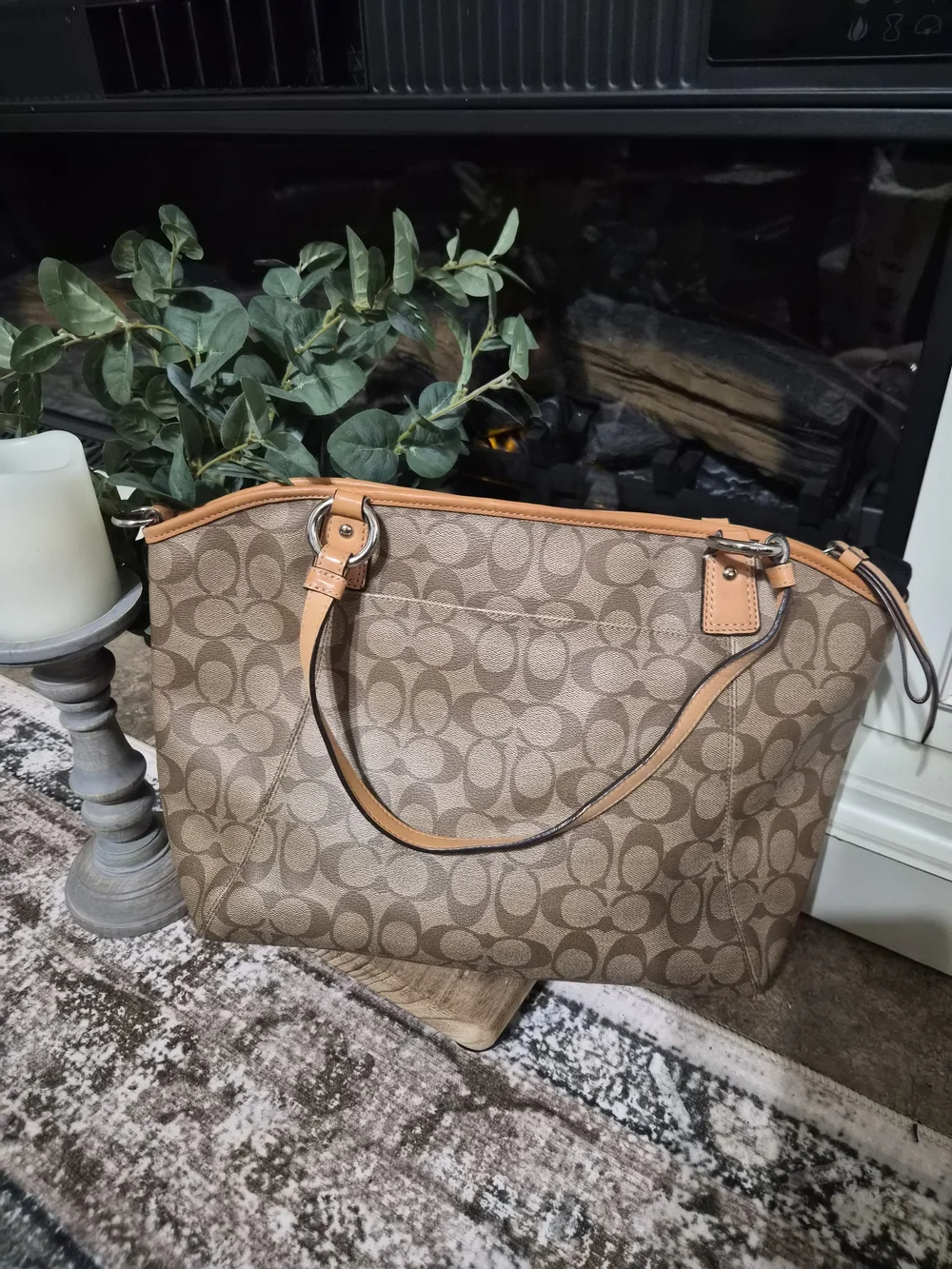 Coach Signature Canvas Tote in Tan and Brown